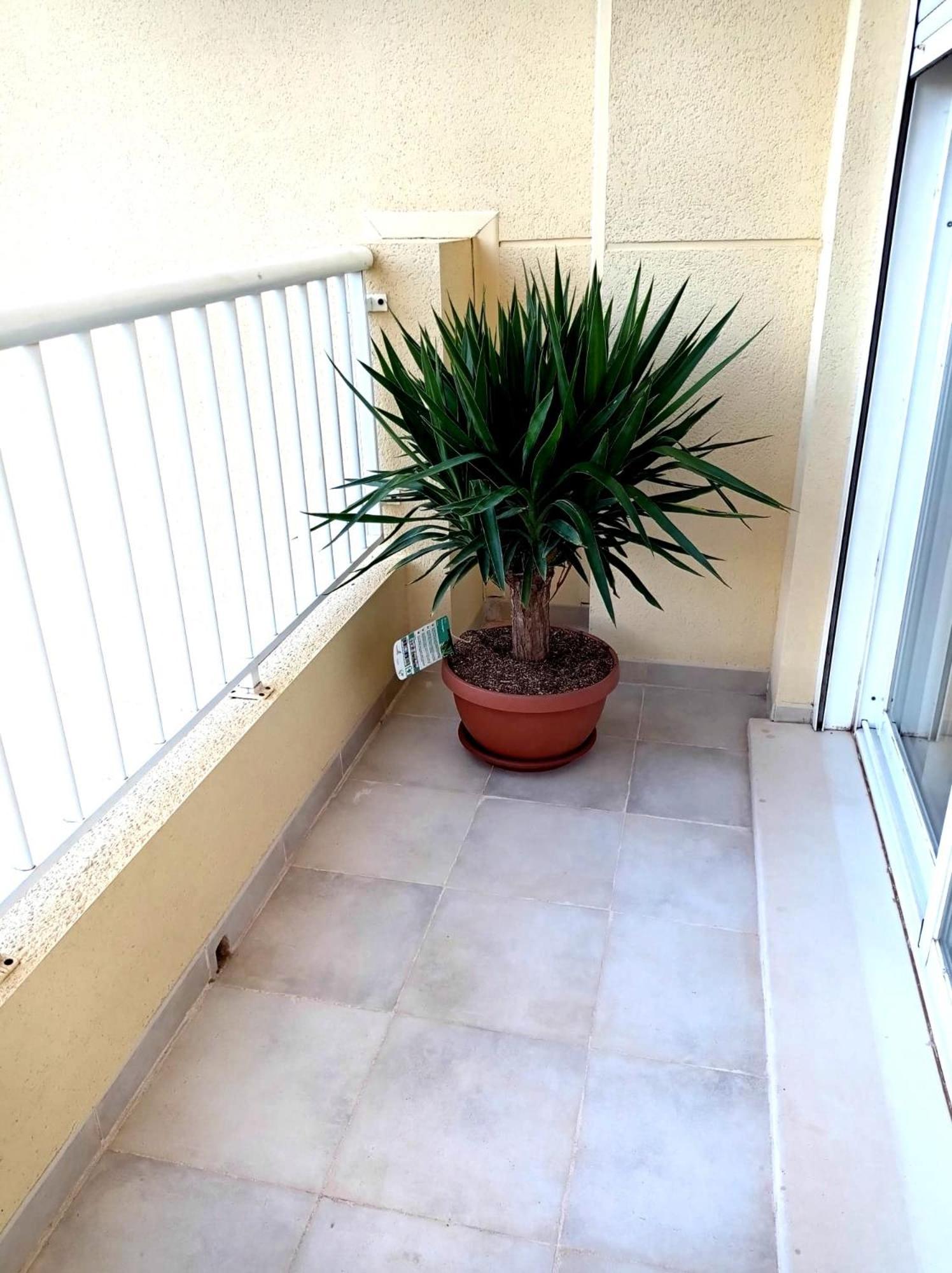 Apartamento Playasol 데니아 외부 사진
